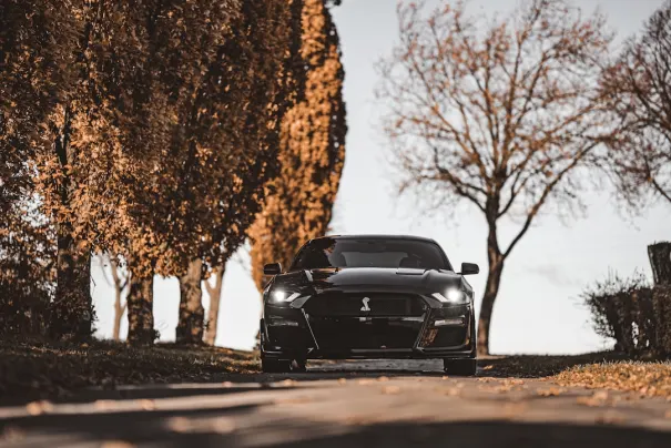 Fbet Casino Android/iOS App